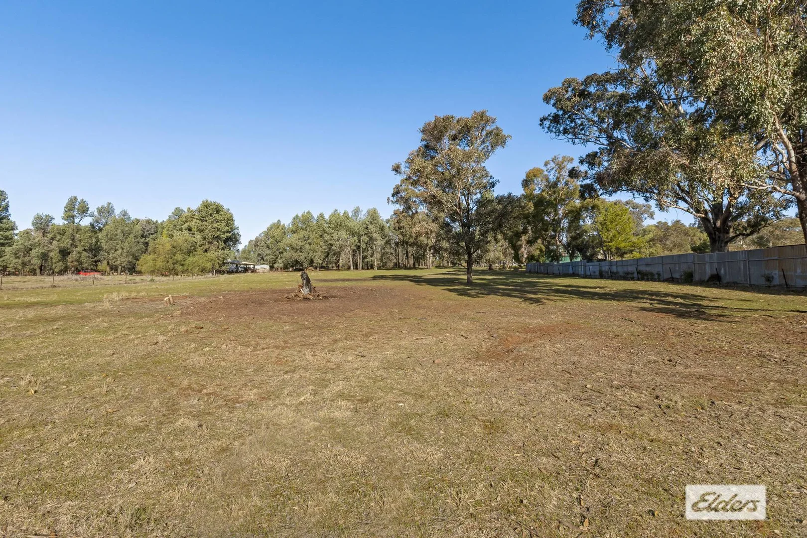 Image 10