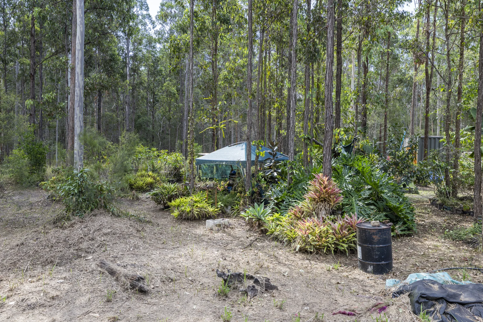 Additional image 18 of 95 Sunnyside Road, Pillar Valley NSW 2462