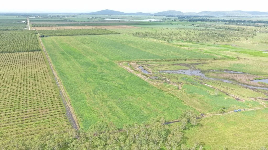 Additional image 30 of 3 Comiskey Road, Giru QLD 4809