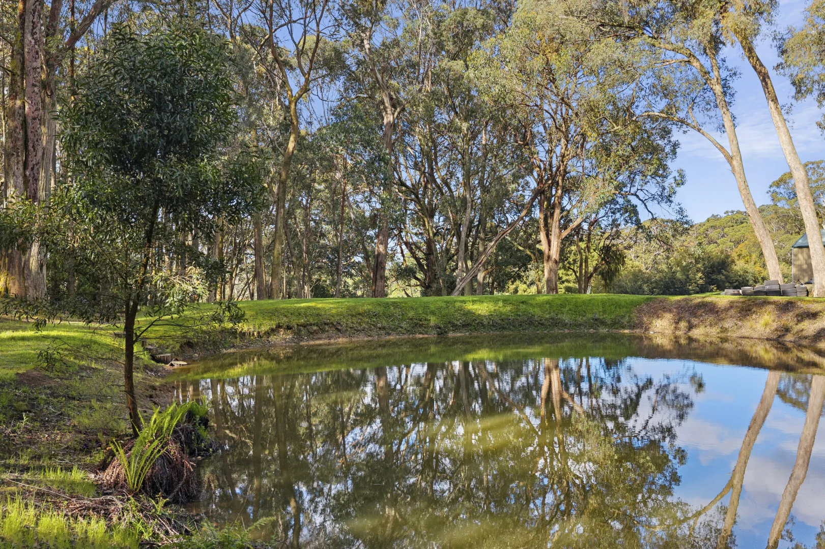 Image 13