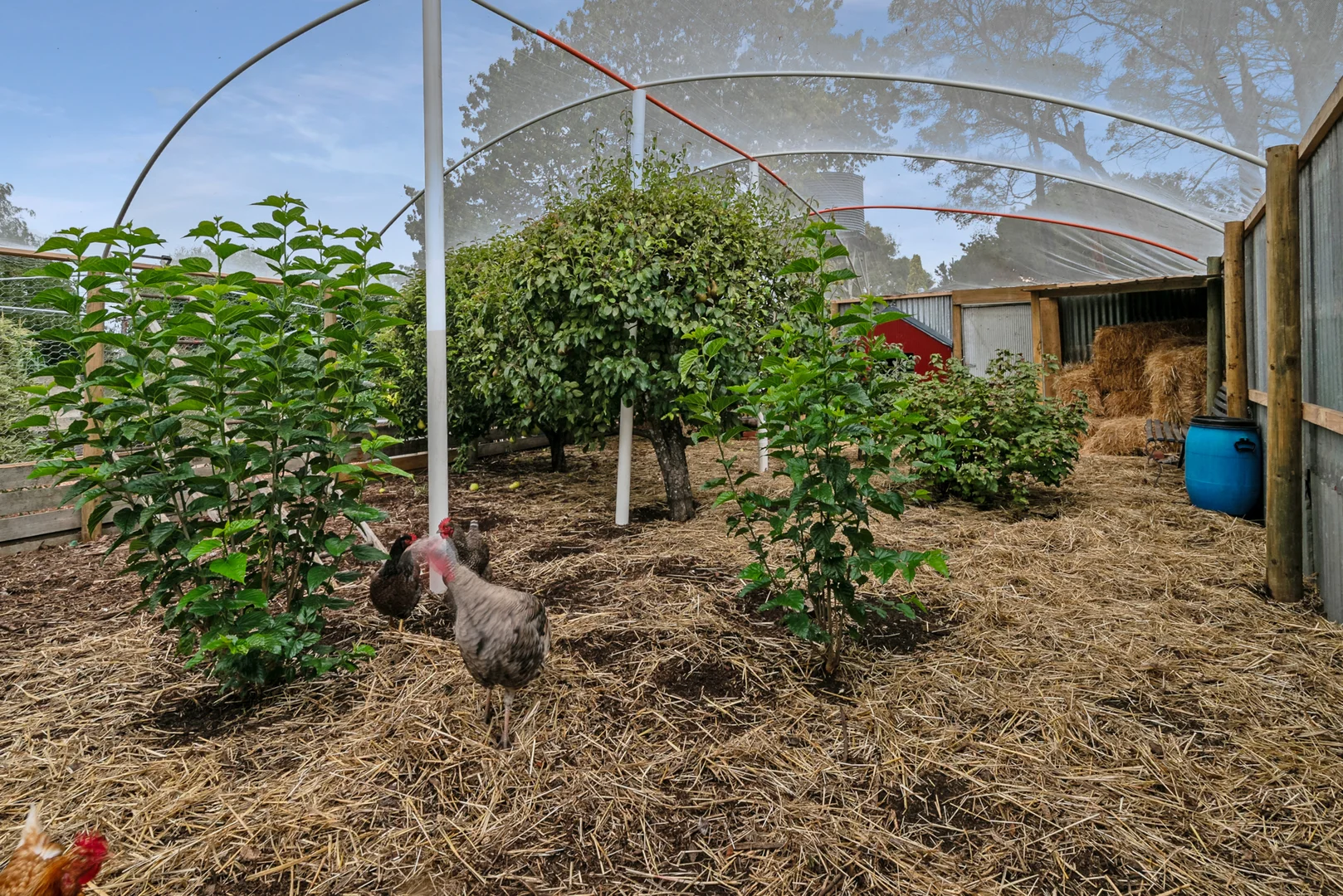 Additional image 18 of 1 Tucker Street, Malmsbury VIC 3446