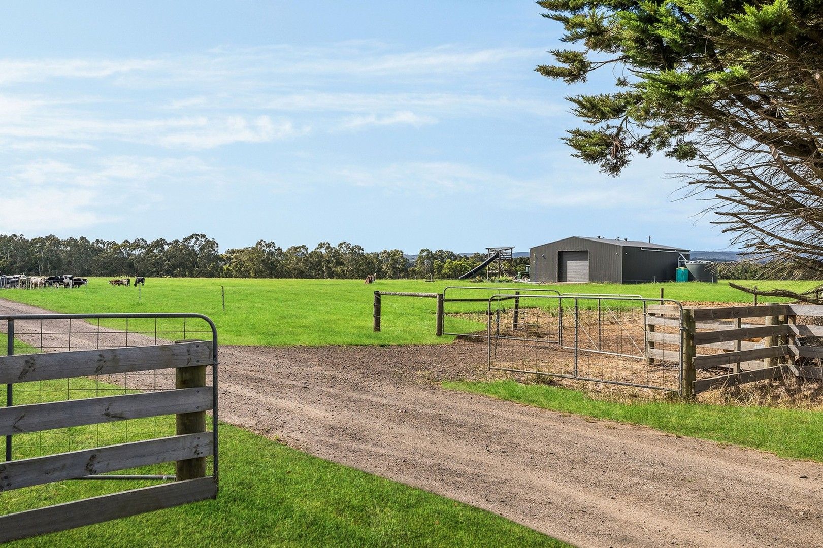 970 BirregurraDeans Marsh Road, Murroon VIC 3243 Vacant Land for Sale