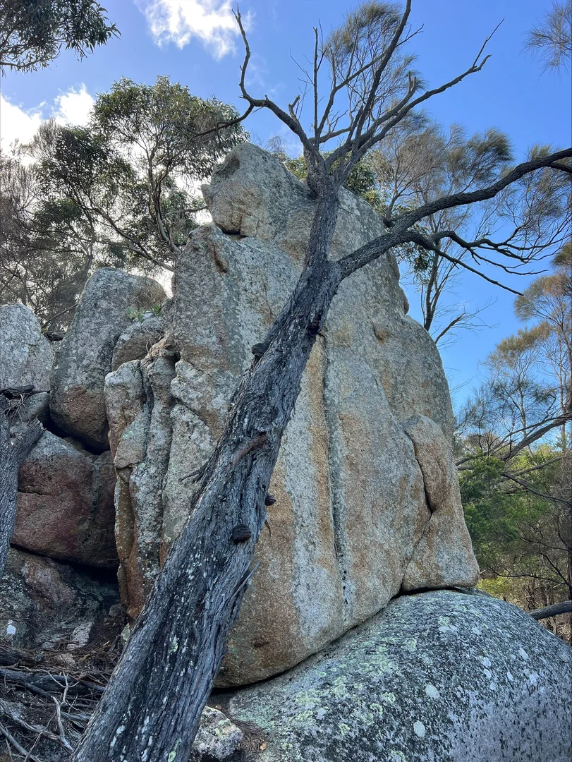 Additional image 6 of Lot 2 West End Road, Leeka TAS 7255