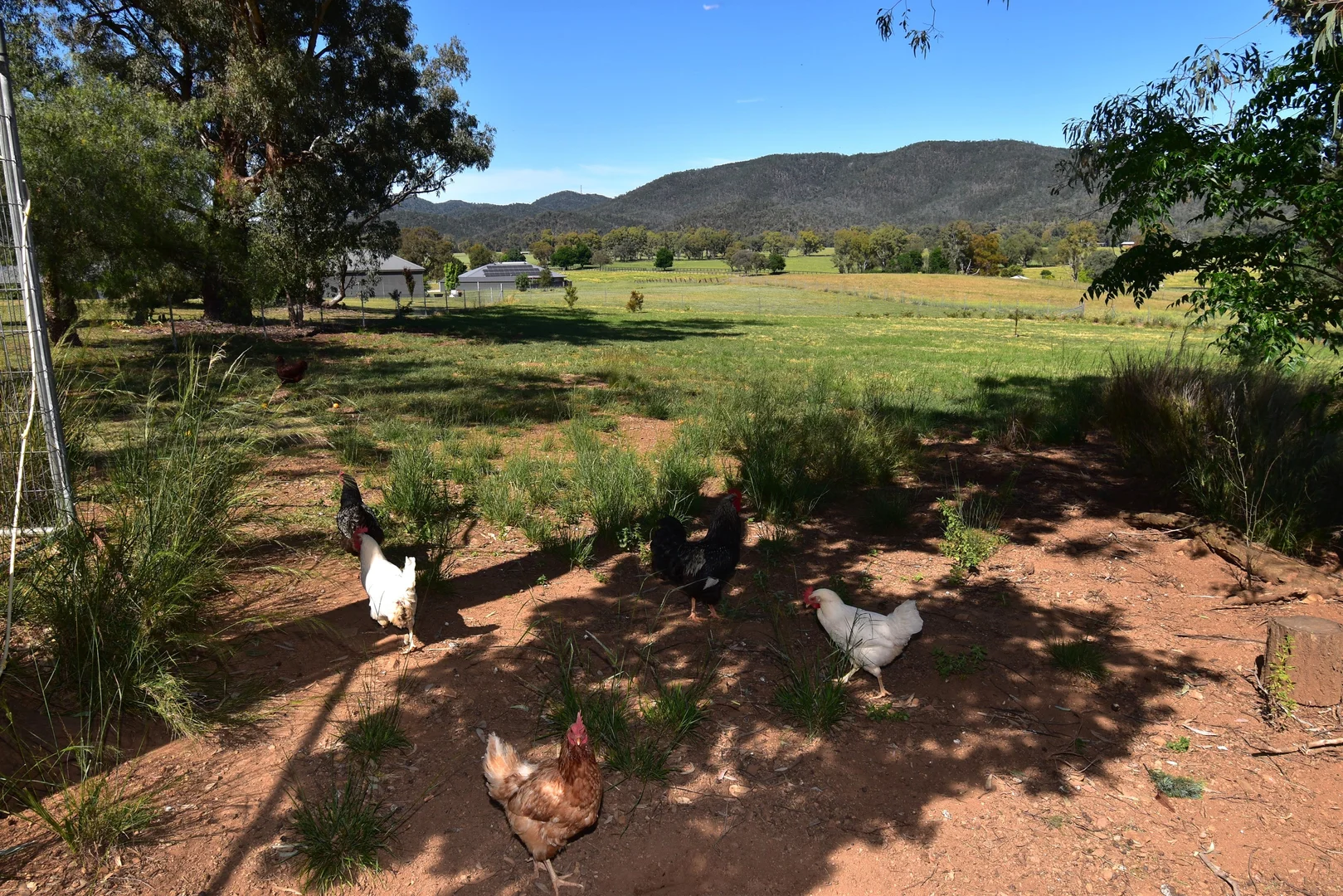 Additional image 34 of 7 Pindari Grove Montefiores via, Wellington NSW 2820