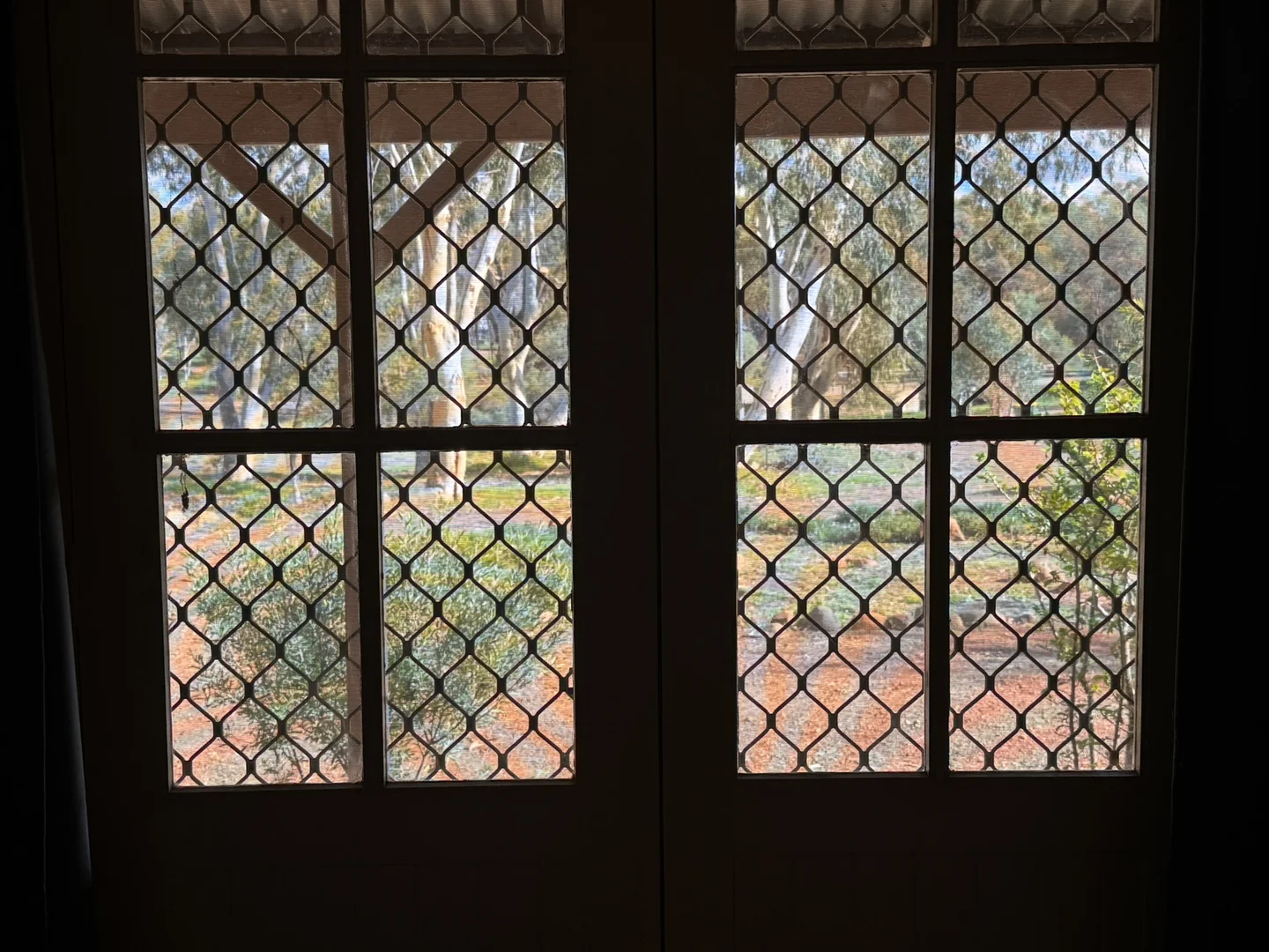Image 38