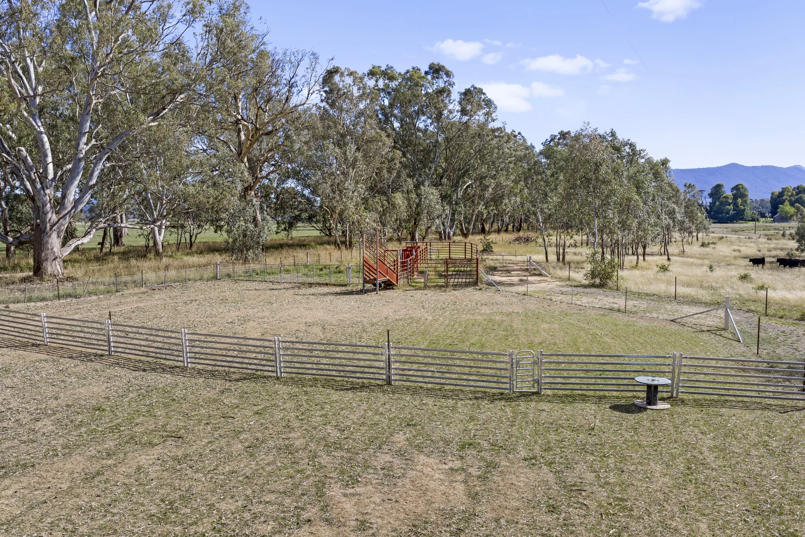 Additional image 7 of 100 Dueran Lane, Mansfield VIC 3722