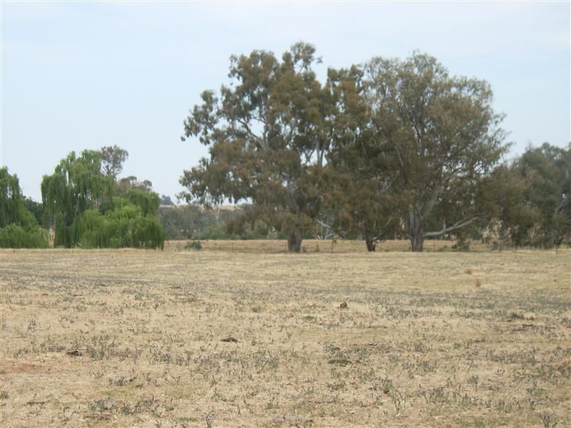 Glandore Cottage, Bowna NSW 2644, Image 1