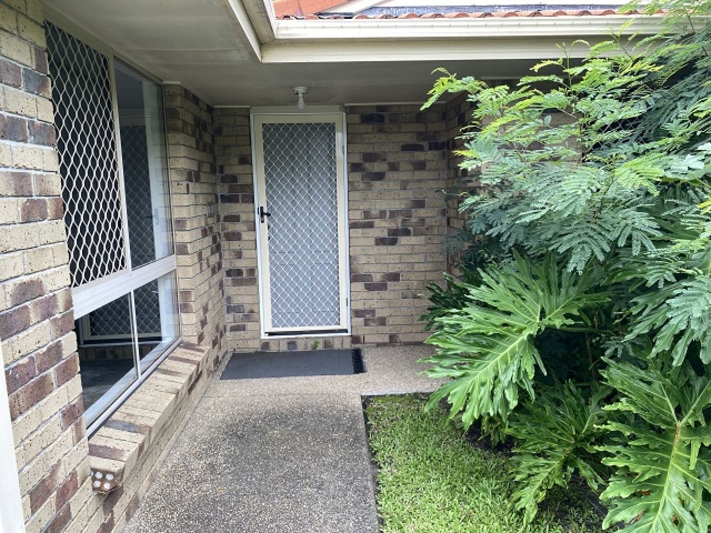 12 Daintree Drive, Parkwood QLD 4214 House For Rent Domain