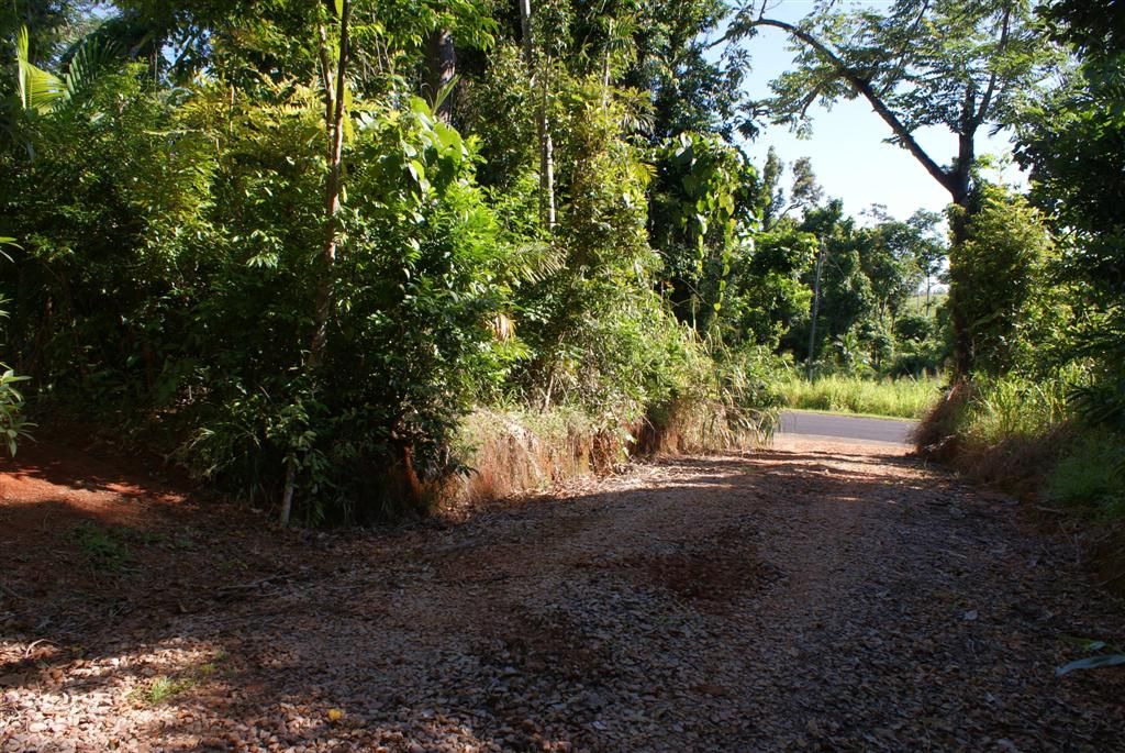 Lot 10 Bingil Bay Road, MIDGEREE BAR QLD 4852, Image 0