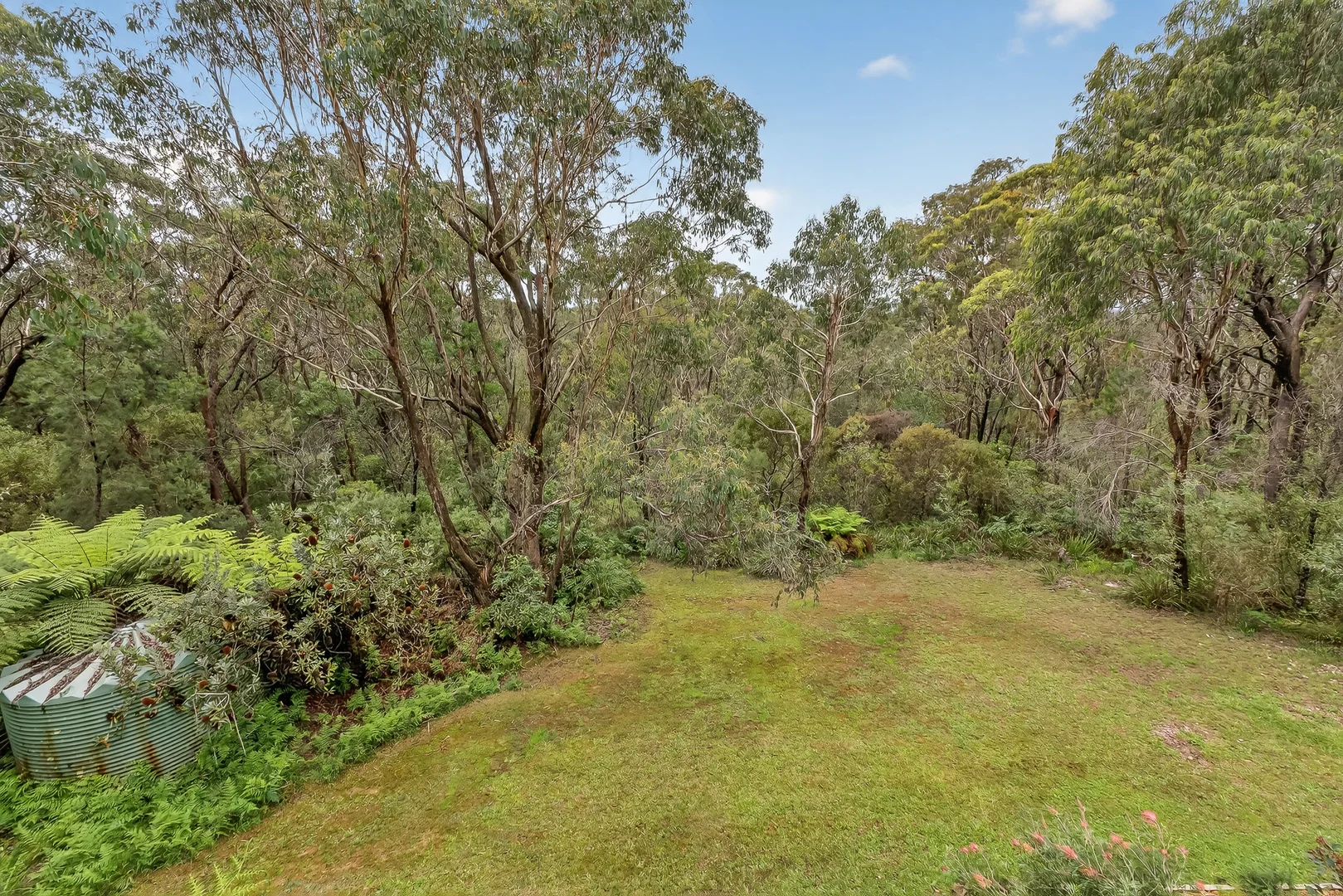 Additional image 14 of 16 Miller Street, Wentworth Falls NSW 2782