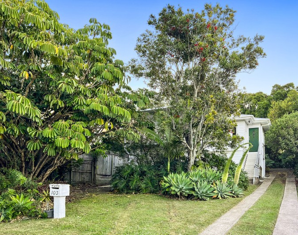 101 Cambridge Street, Carina Heights QLD 4152