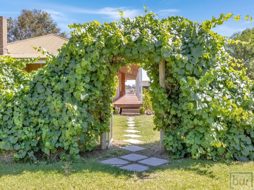 Additional image 30 of 142 Whittaker Lane, Howlong NSW 2643