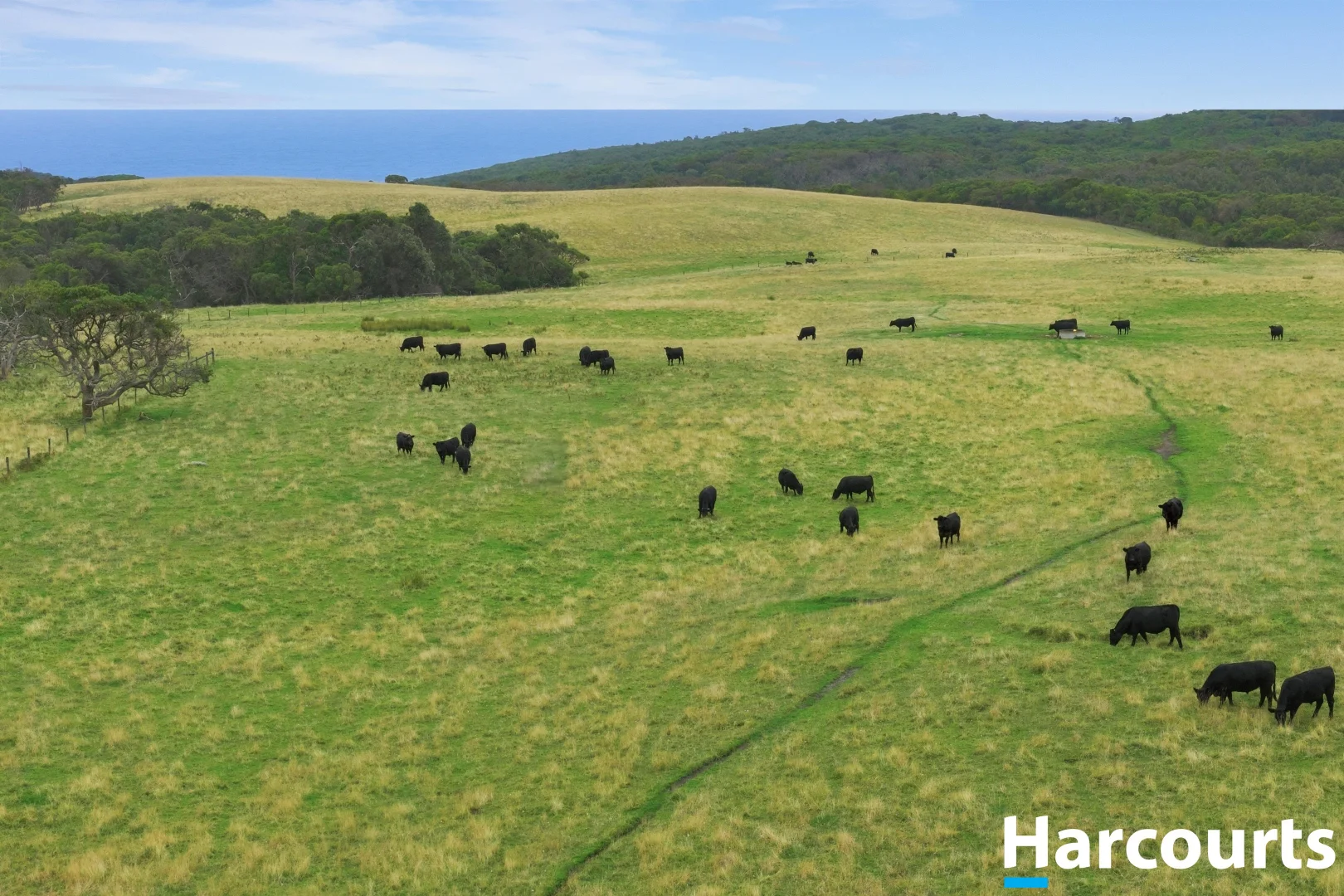 Additional image 36 of 80 Munbilla Road, Tarwin Lower VIC 3956