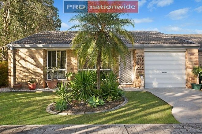 Picture of 11/19 Michigan Drive (Maple Court), OXENFORD QLD 4210