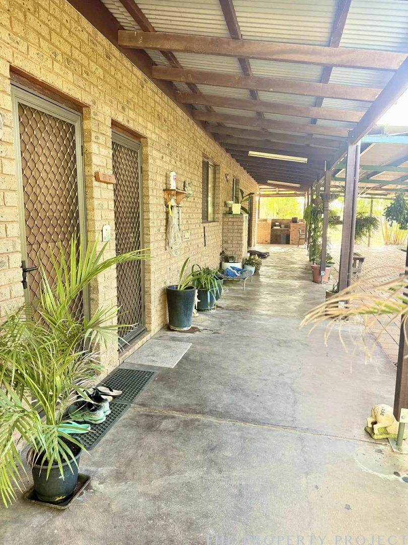 Image 25