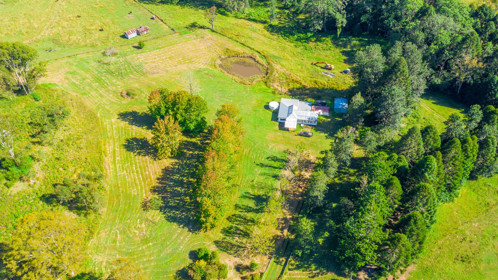 937 Duck Creek Road, Old Bonalbo NSW 2469, Image 2