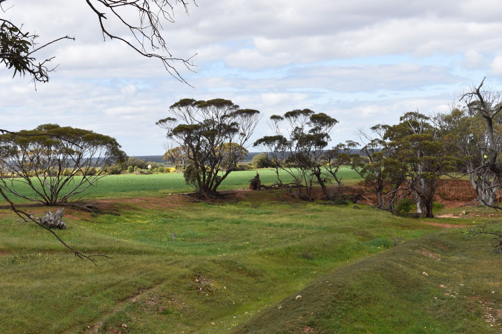 Lot 749 Angaston Sedan Road, Sedan SA 5353, Image 2