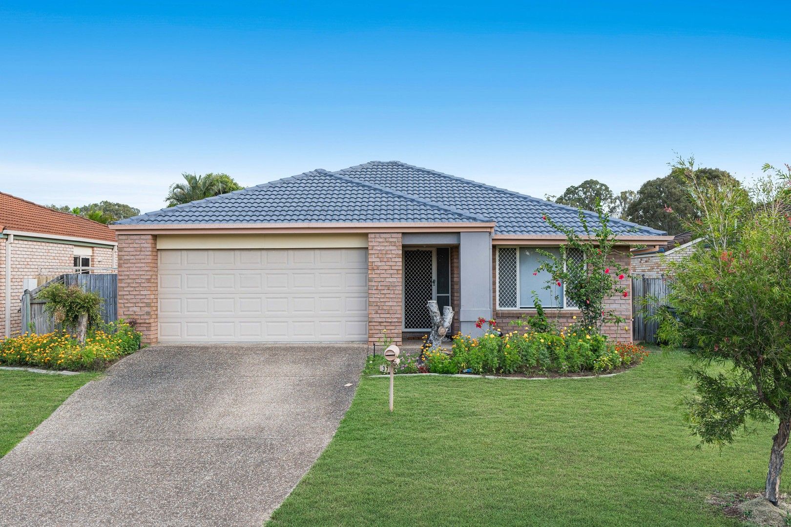 3 bedrooms House in 37 Pinewood Street WYNNUM WEST QLD, 4178