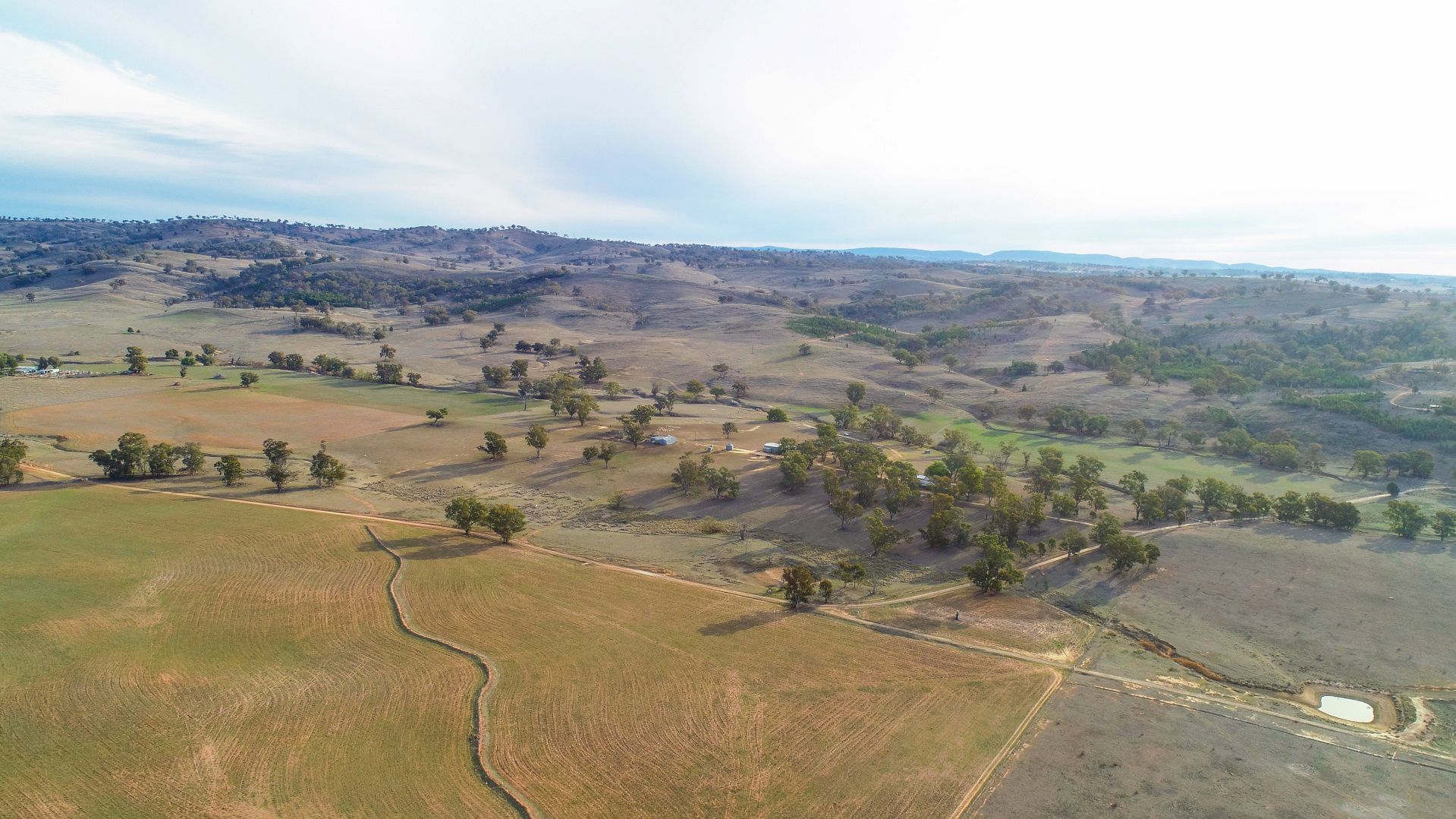 394 Tara Road, Mumbil NSW 2820 House for Sale 2,250,000 Domain