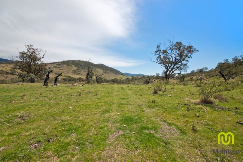 93 & 94 Boboyan Road, Tharwa ACT 2620, Image 1