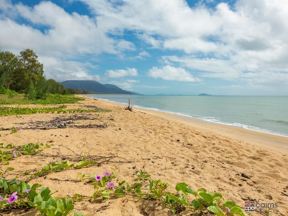 20 Sassafras Street, Bramston Beach QLD 4871 Domain