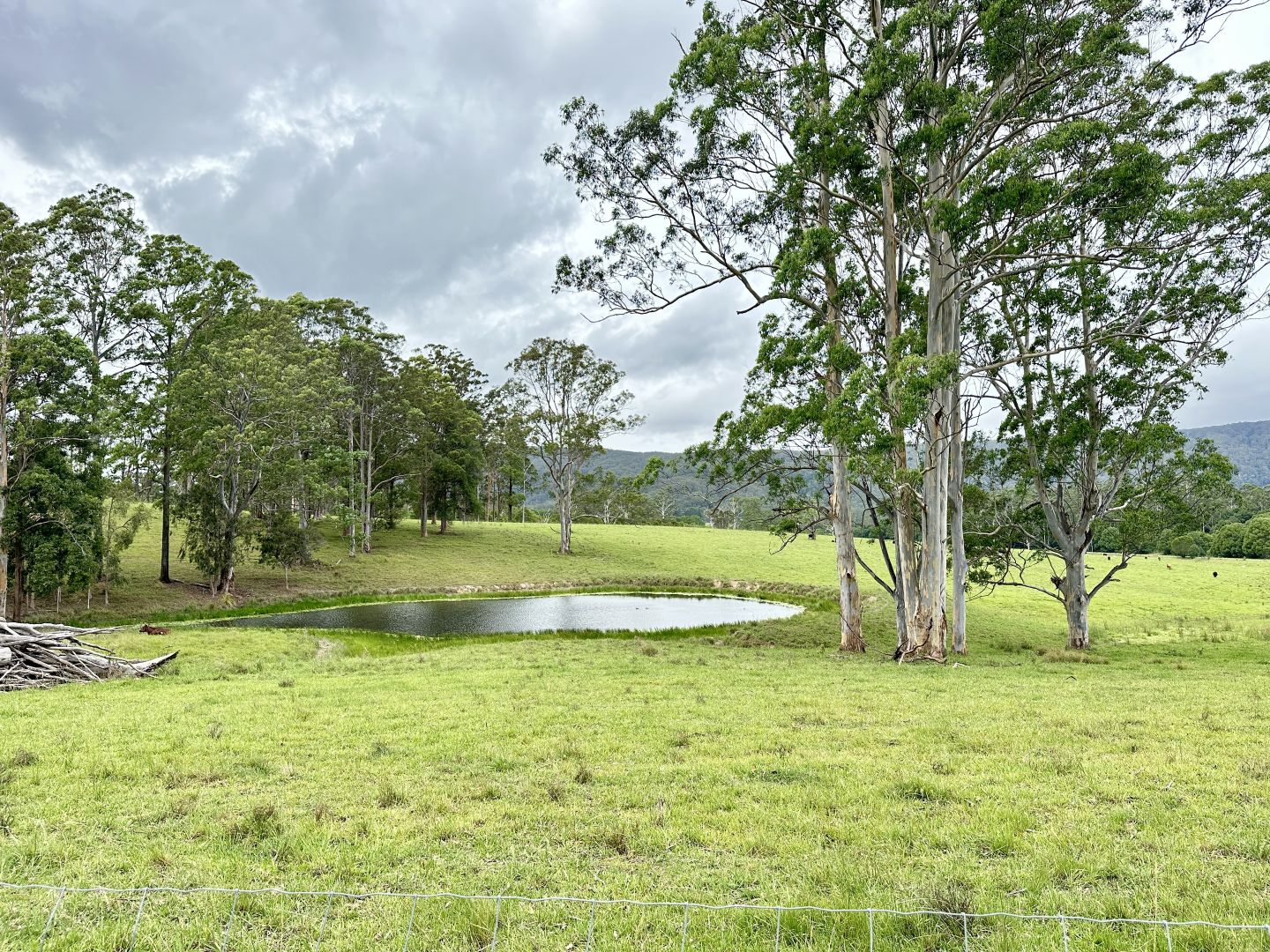 3/1239 Bucca Road, Bucca NSW 2450, Image 2