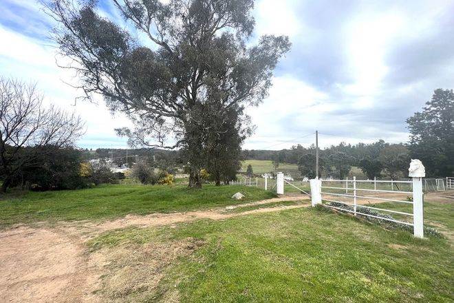 Picture of 31 Gresham Street, TARCUTTA NSW 2652