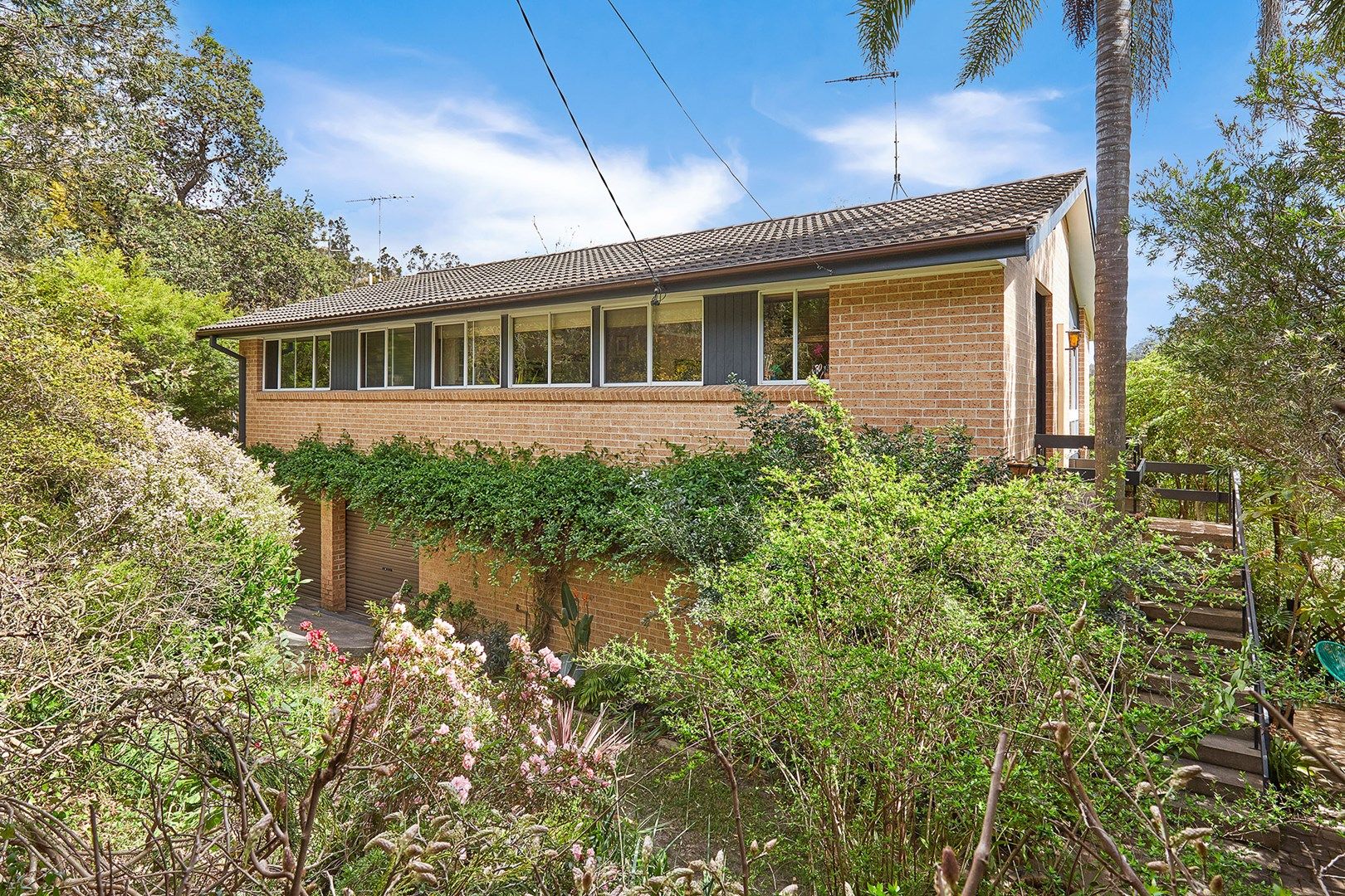 44 Bambil Rd, Berowra NSW 2081, Image 0