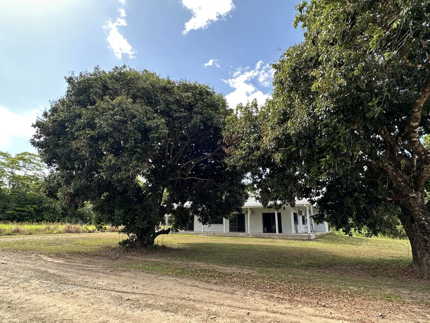 Image 16