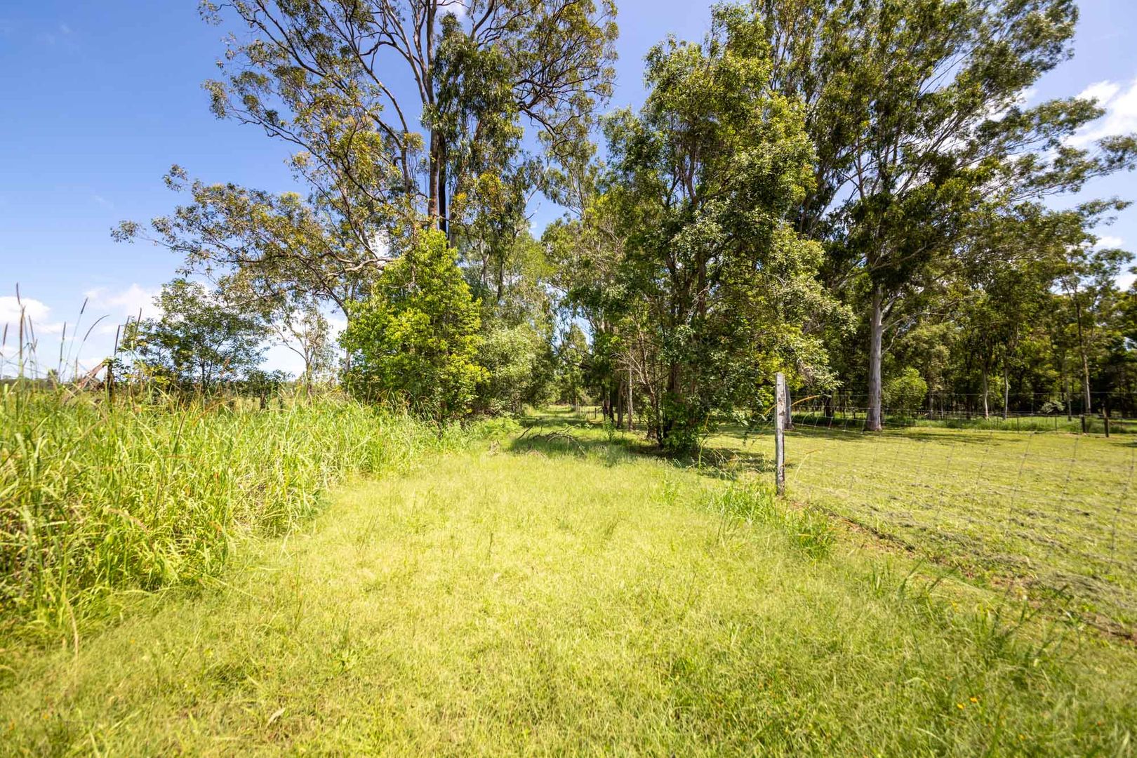 Lot 1 1010 Tatham Ellangowan Road, Ellangowan NSW 2470, Image 1