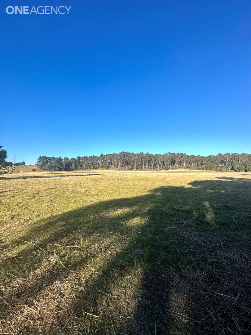 Benny Street, Latrobe TAS 7307 Vacant Land for Sale Domain