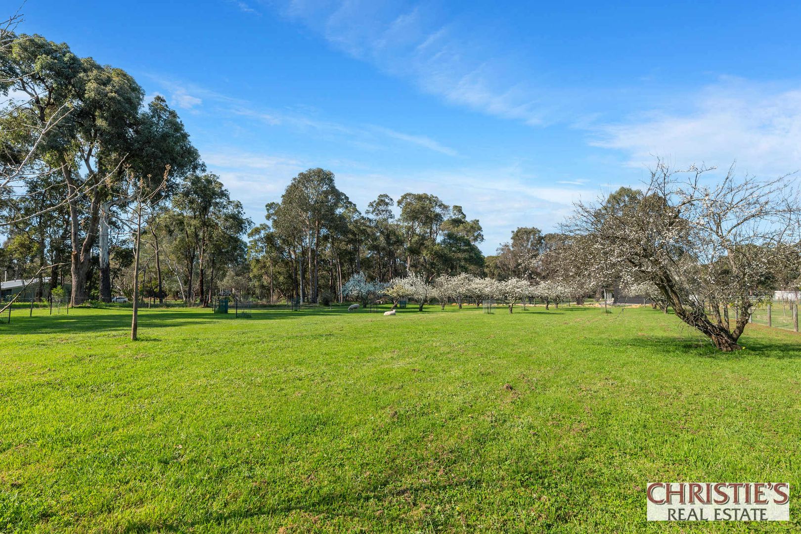 225 Stoneleigh Road, Sawyers Valley WA 6074, Image 1