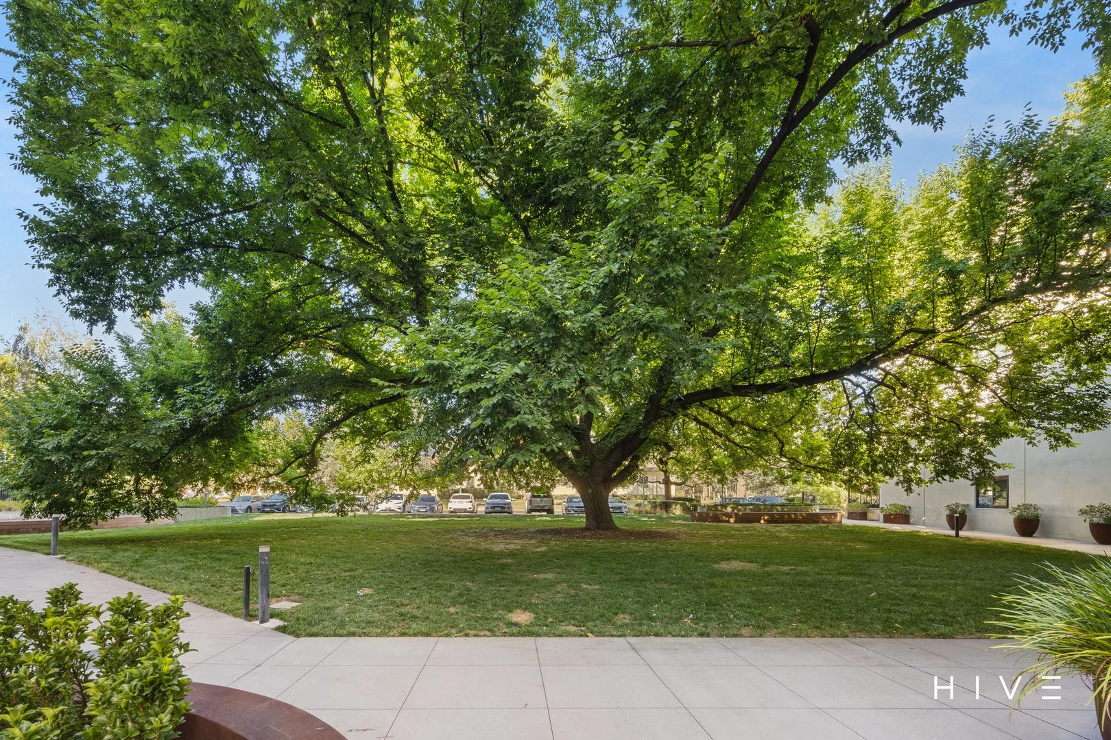 Additional image 33 of 116/43 Currong Street North, Braddon ACT 2612