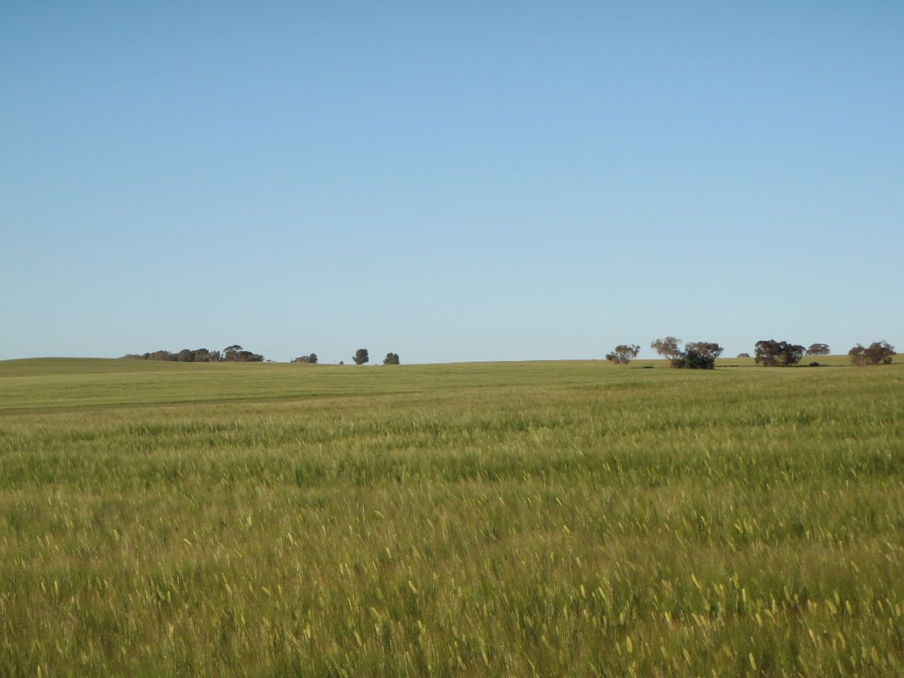 Huddleston SA 5523, Image 2