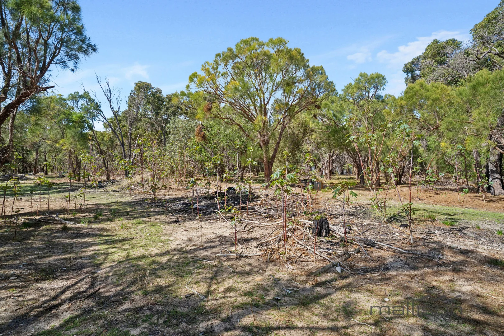 Additional image 26 of 112 Merrit Road, Parklands WA 6180