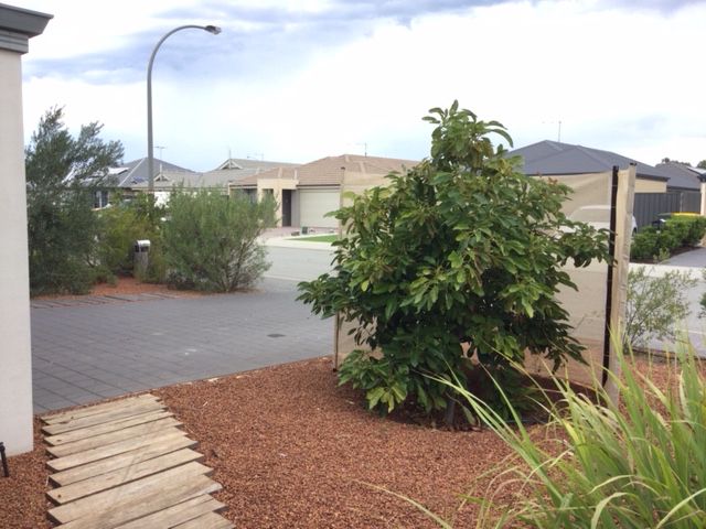 4 bedrooms House in 18 Danbulla Loop YANCHEP WA, 6035