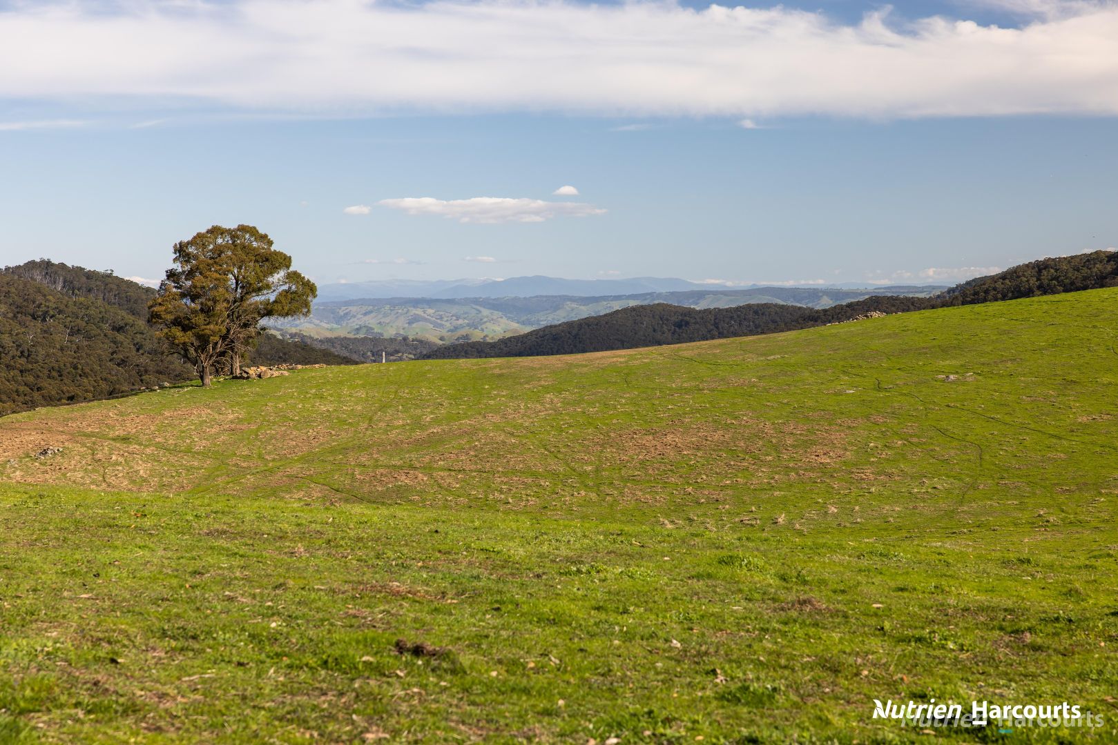 455 Tames Road, Strathbogie VIC 3666, Image 1