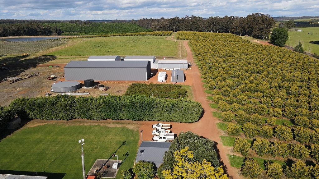 924 Seven Day Road, Manjimup WA 6258 House for Sale Domain