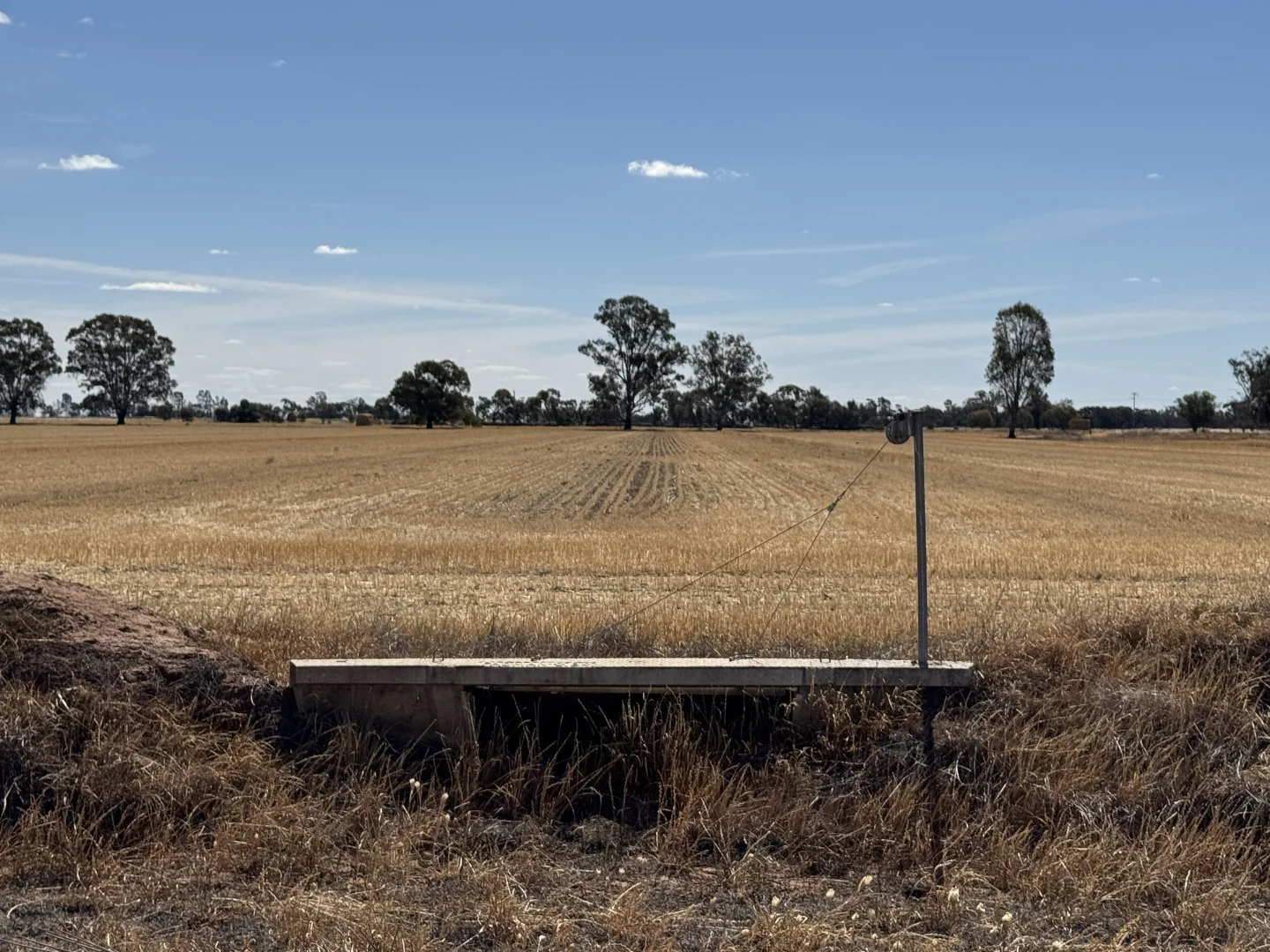 Image 10