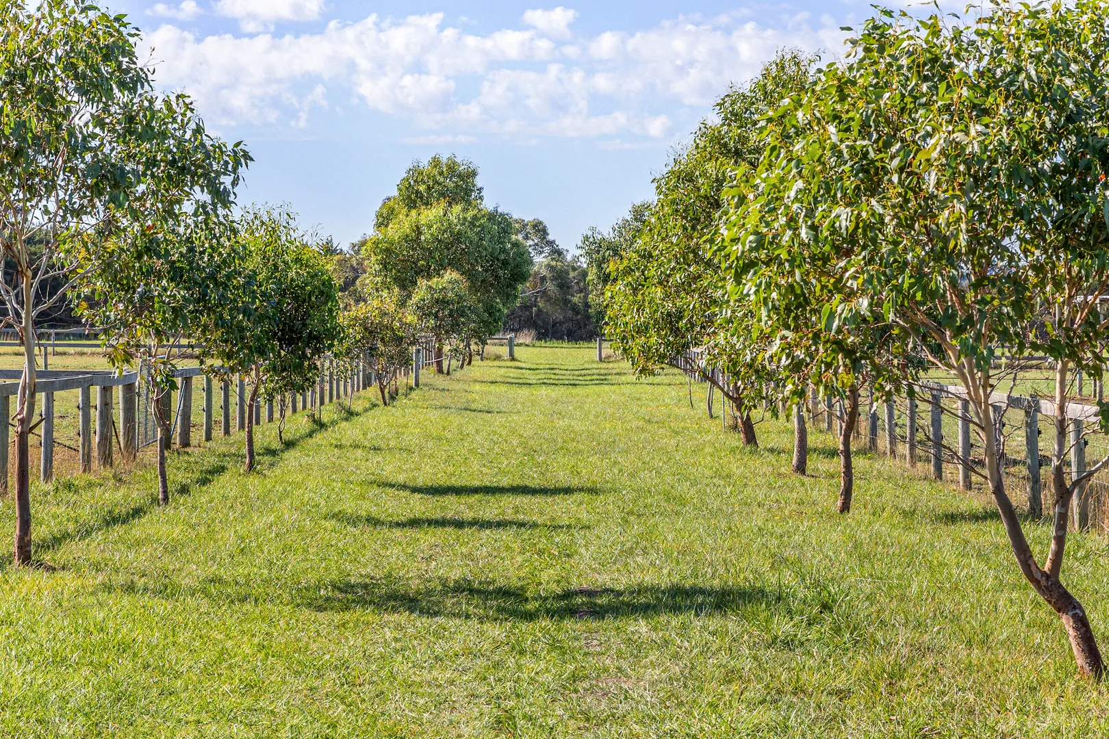 Additional image 19 of 121 Balnarring Road, Balnarring VIC 3926