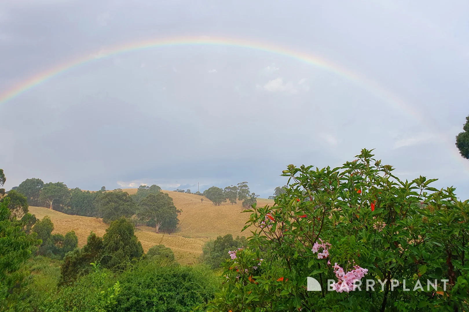 Additional image 33 of 120 Stevens Road, Kardella VIC 3951