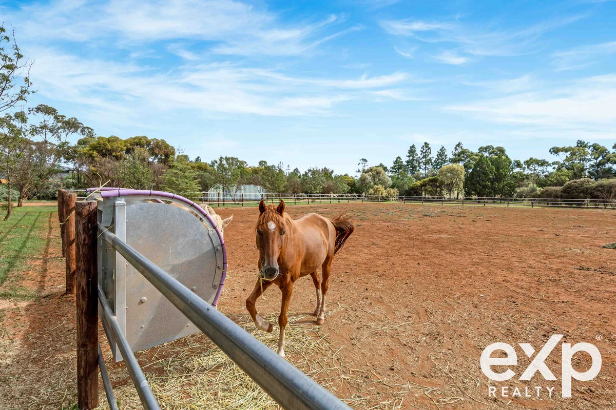 Additional image 29 of 161 Blocks Road, Riverton SA 5412