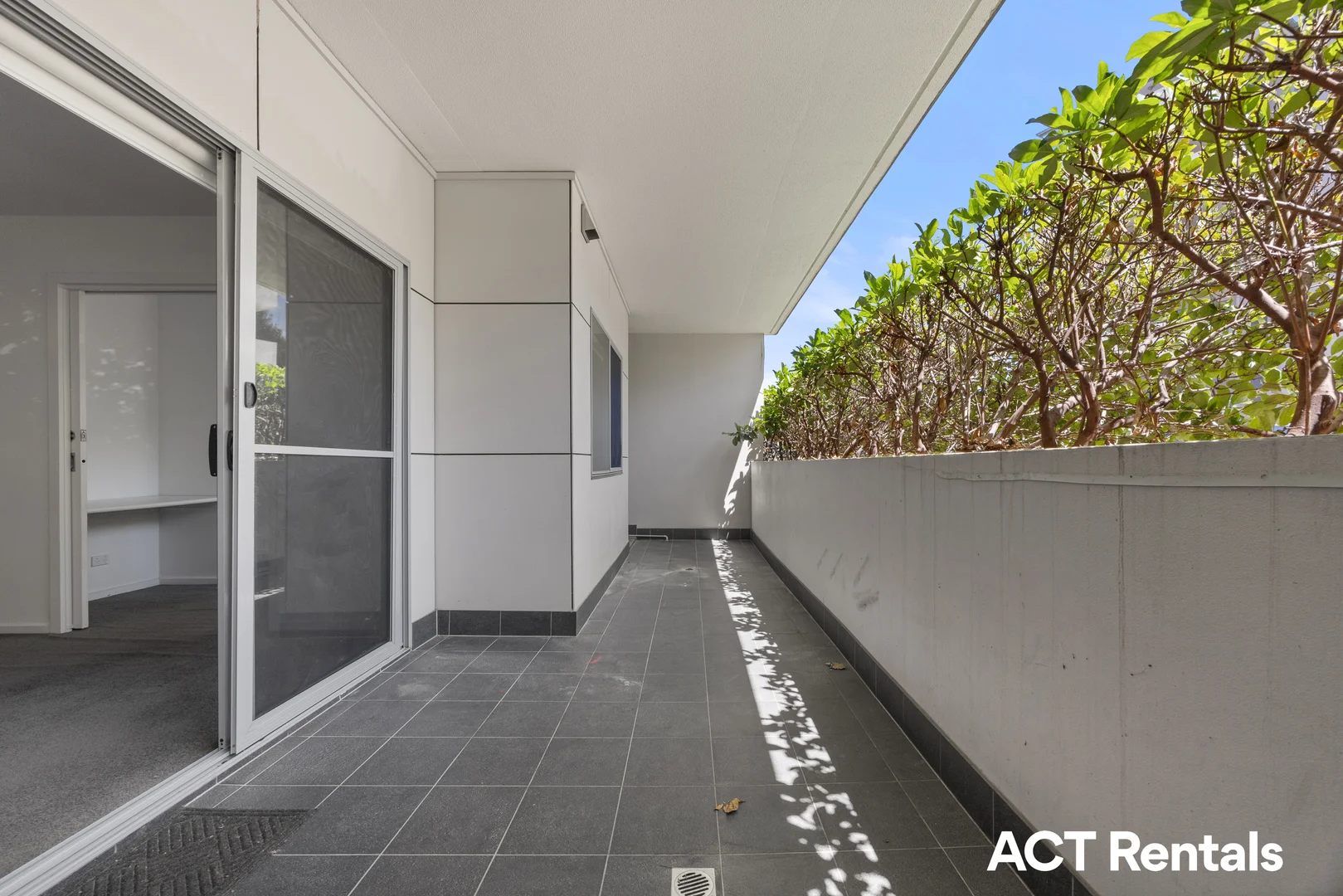 Additional image 15 of 15/40 Philip Hodgins Street, Wright ACT 2611