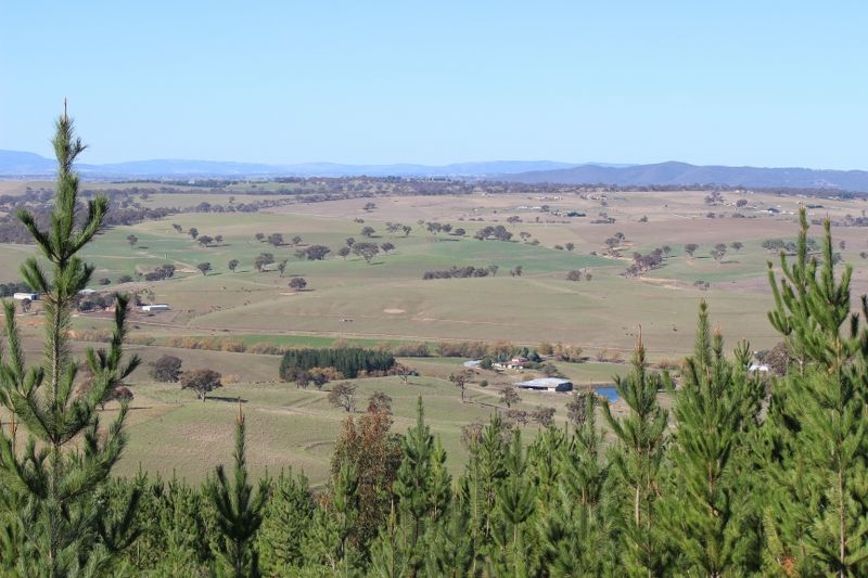 Fitzgeralds Valley NSW 2795, Image 1