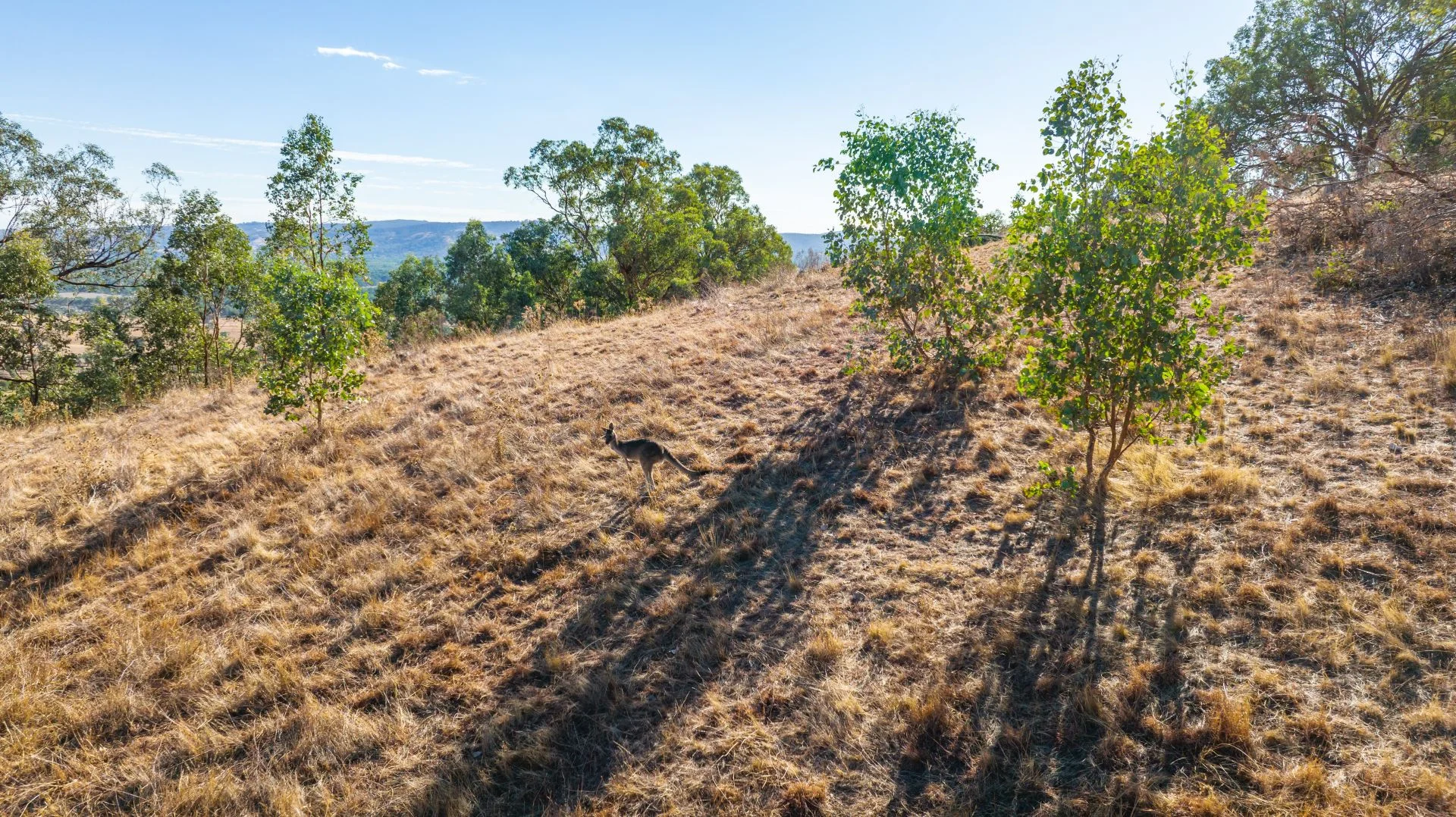 Additional image 13 of 189 Coyles Road, Wodonga VIC 3690