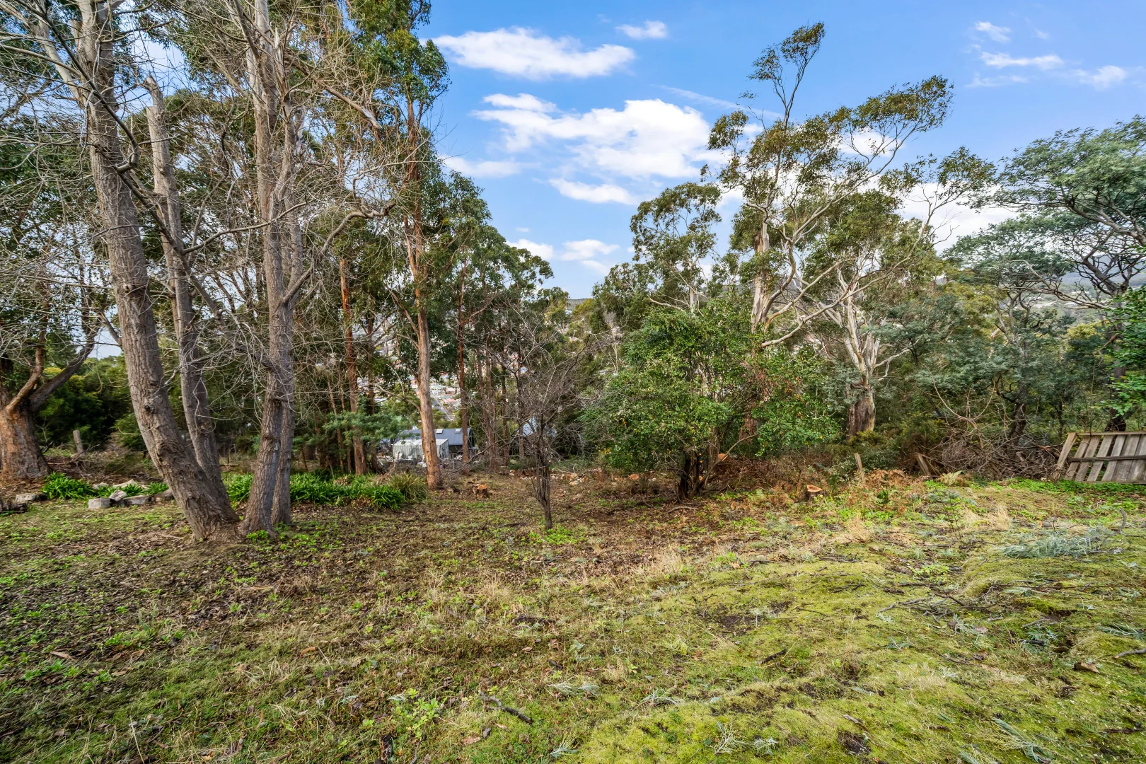 Additional image 14 of 136 Forest Rd, West Hobart TAS 7000