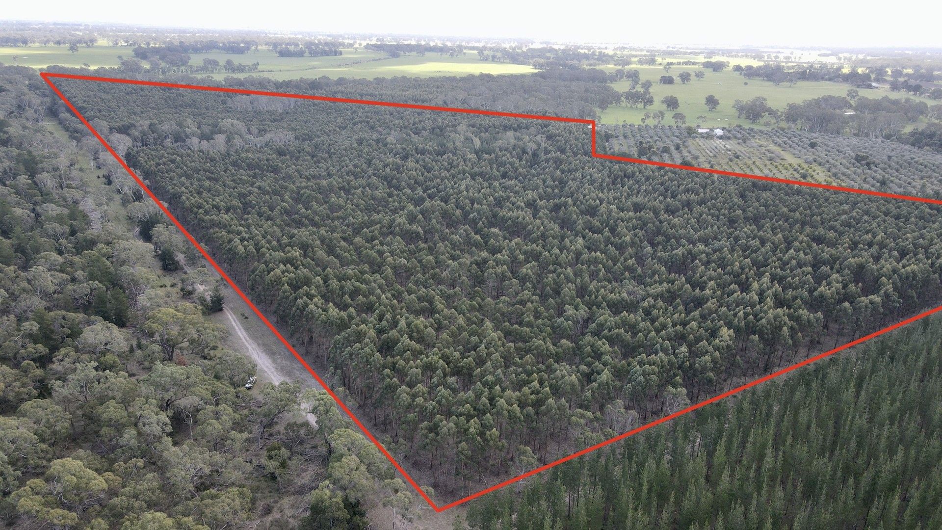 Lot 81 Old Comaum Road, Coonawarra SA 5263, Image 0