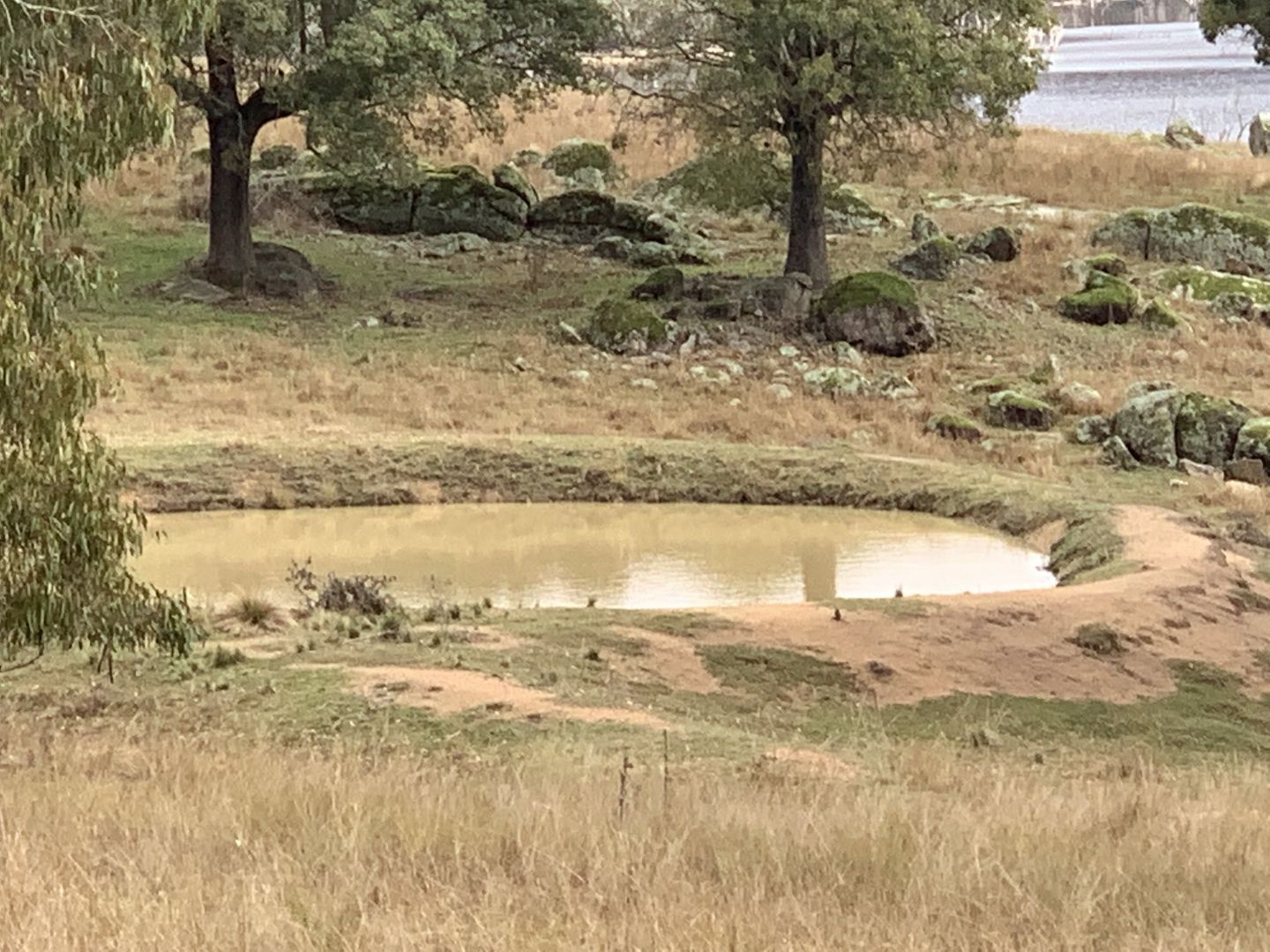 Lot 31, Foggs Crossing Road (Bigga), Cowra NSW 2794, Image 2