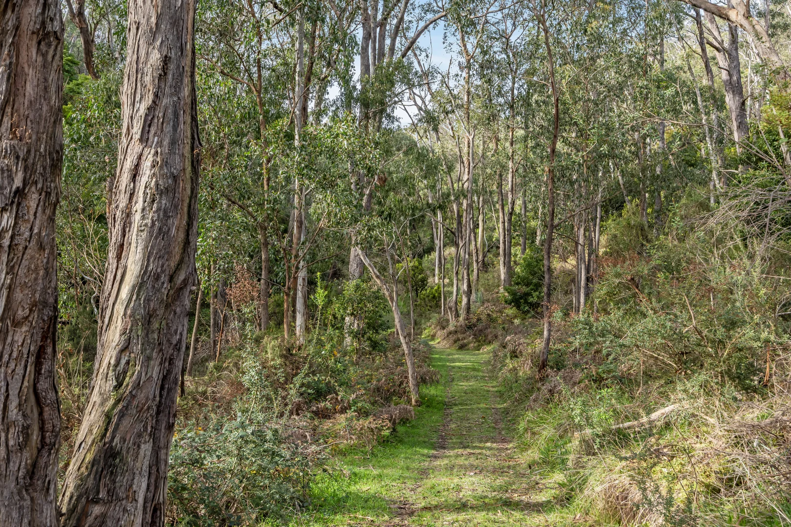 Image 18