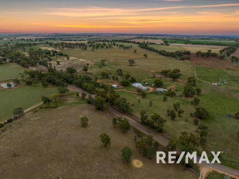 32 Murrulebale Rd, Junee NSW 2663 House for Sale Domain